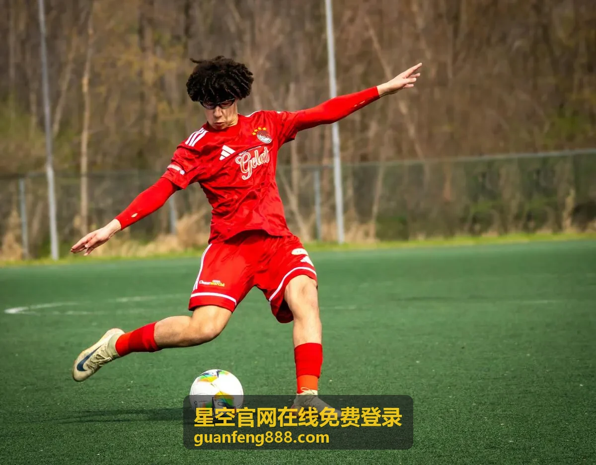 星空官网在线免费登录等级升级与续费说明