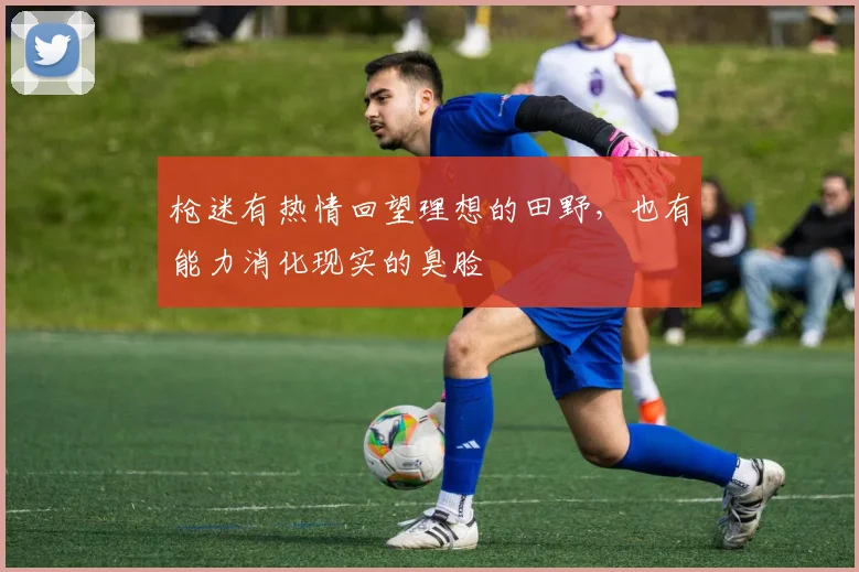 枪迷有热情回望理想的田野，也有能力消化现实的臭脸