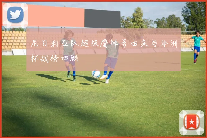 尼日利亚队超级鹰绰号由来与非洲杯战绩回顾