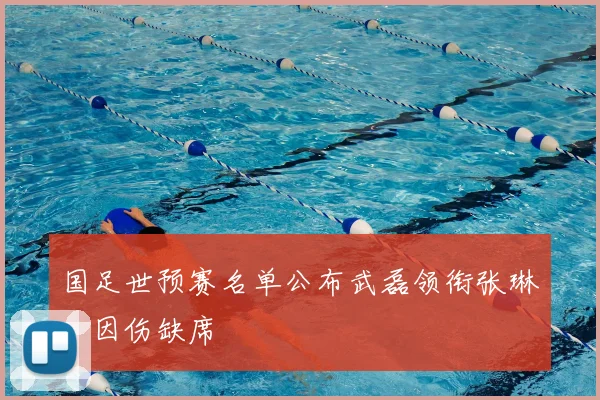 国足世预赛名单公布武磊领衔张琳芃因伤缺席